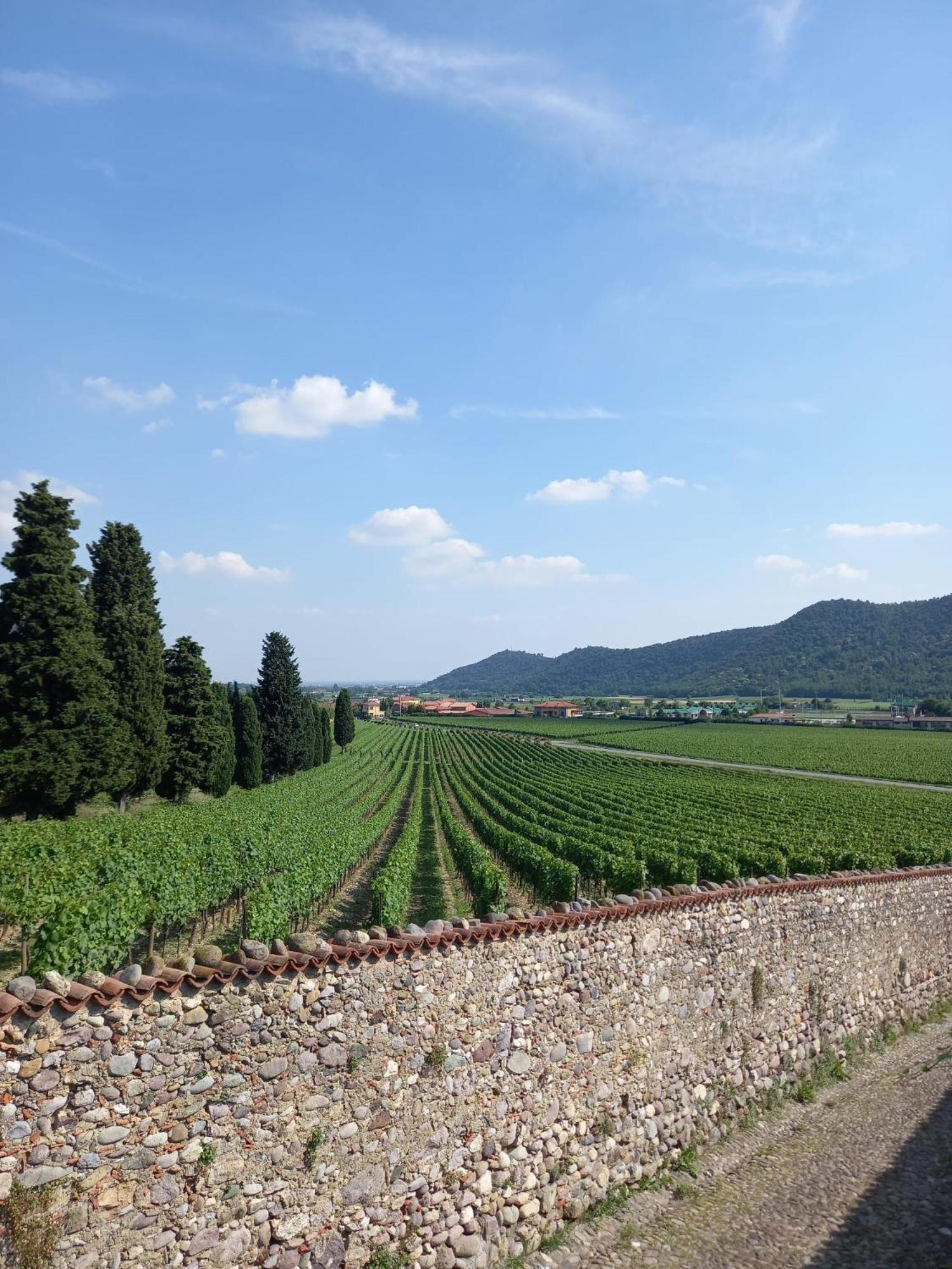 La Corte Del Bona - Vicino Alle Cantine E A Circa 15 Minuti Dal Lago Di Iseo - Daire Erbusco Dış mekan fotoğraf